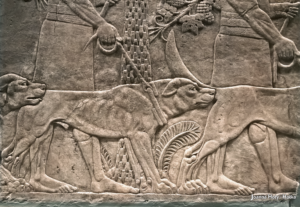 British Museum Lion Hunt of Ashurbanipal detail dog